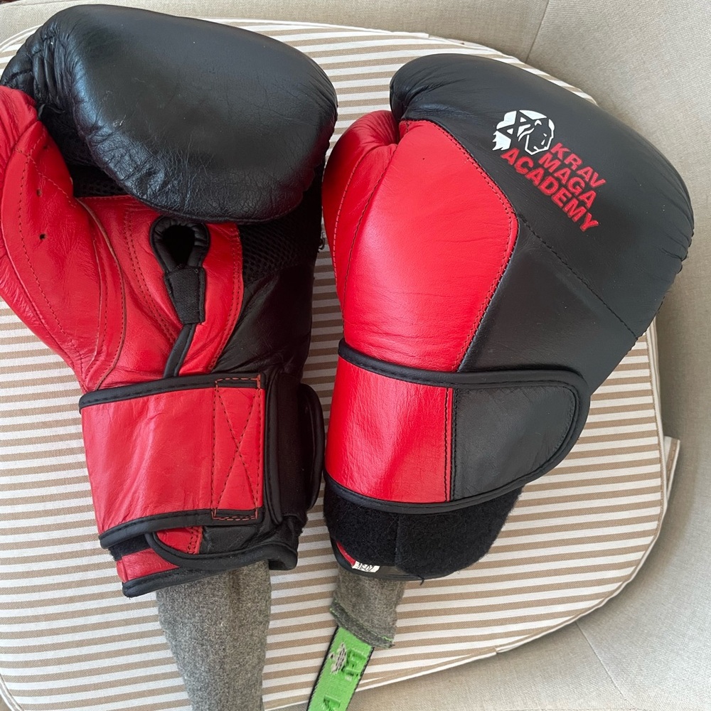Red and Black Boxing Gloves (16 oz)